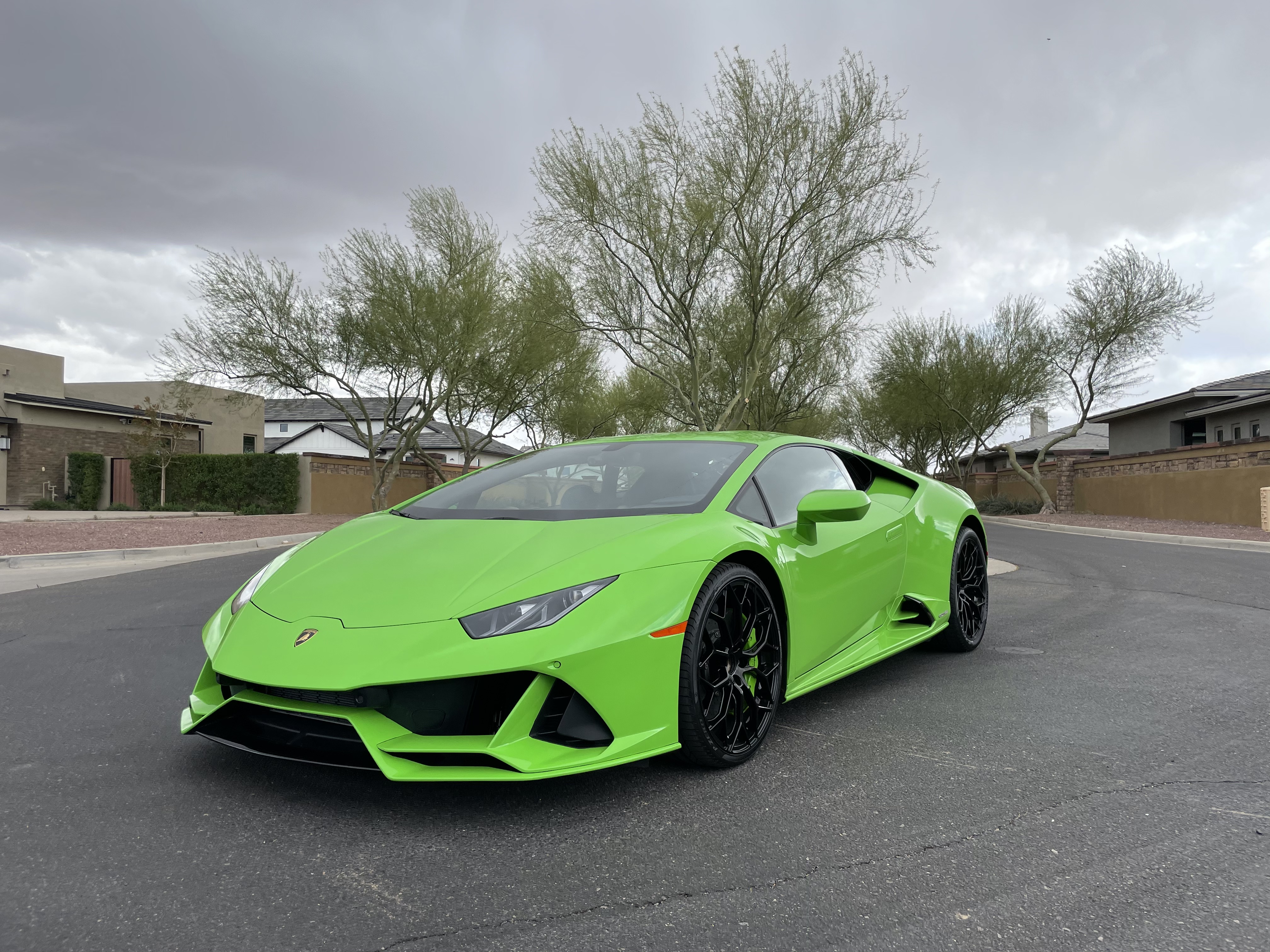 Custom vinyl wrapped Lamborghini